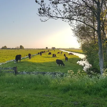 Dolce Hotel Zevenhoven