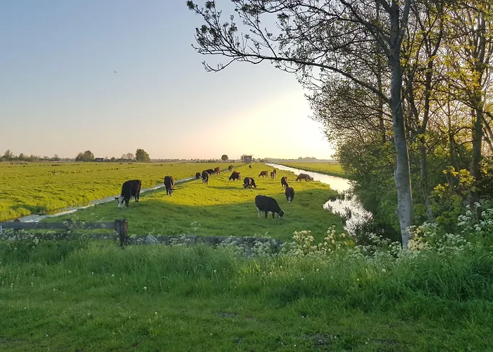 Dolce فندق Zevenhoven